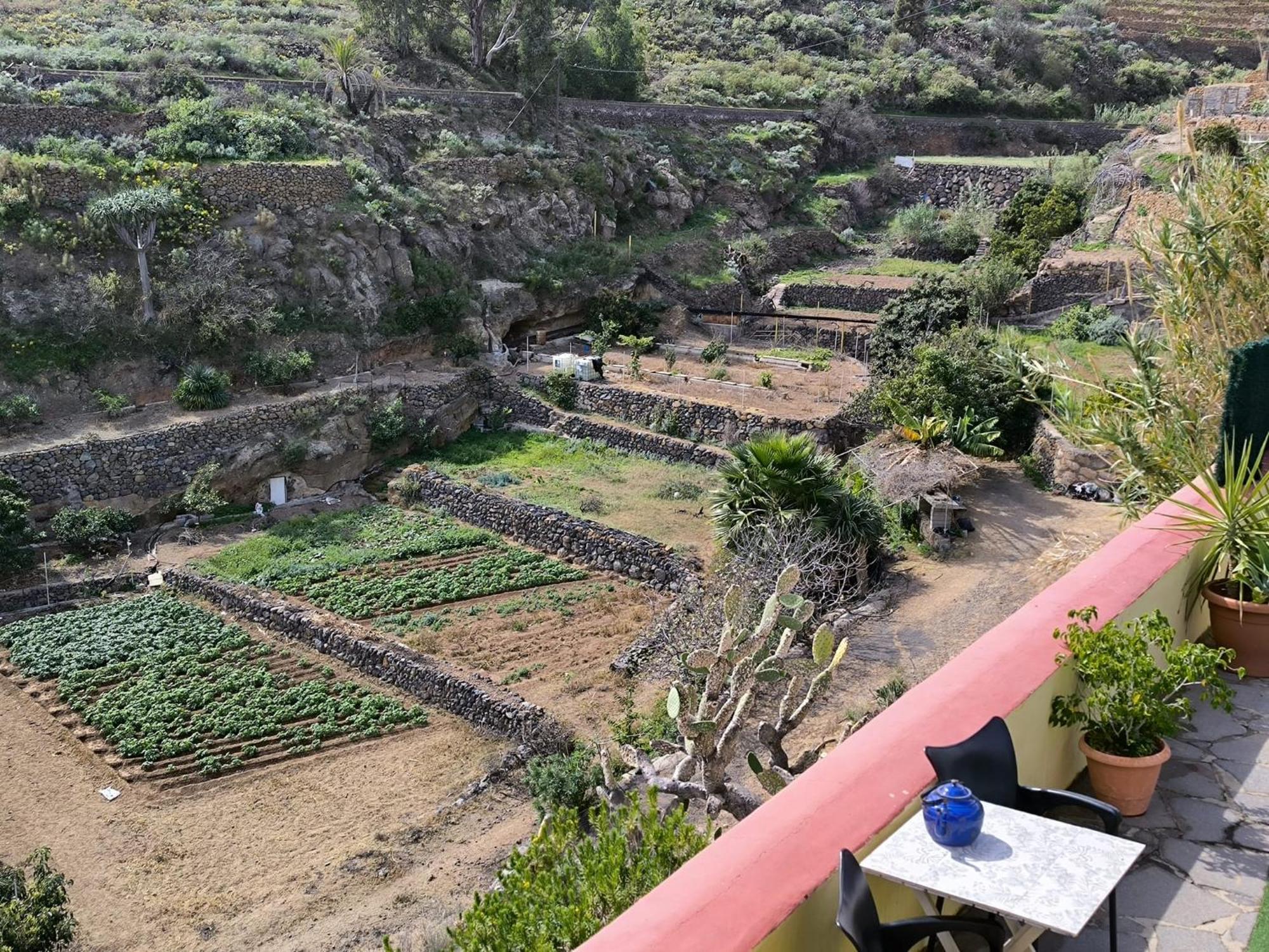 Hotel Rural La Raya 1866 Guimar Luaran gambar
